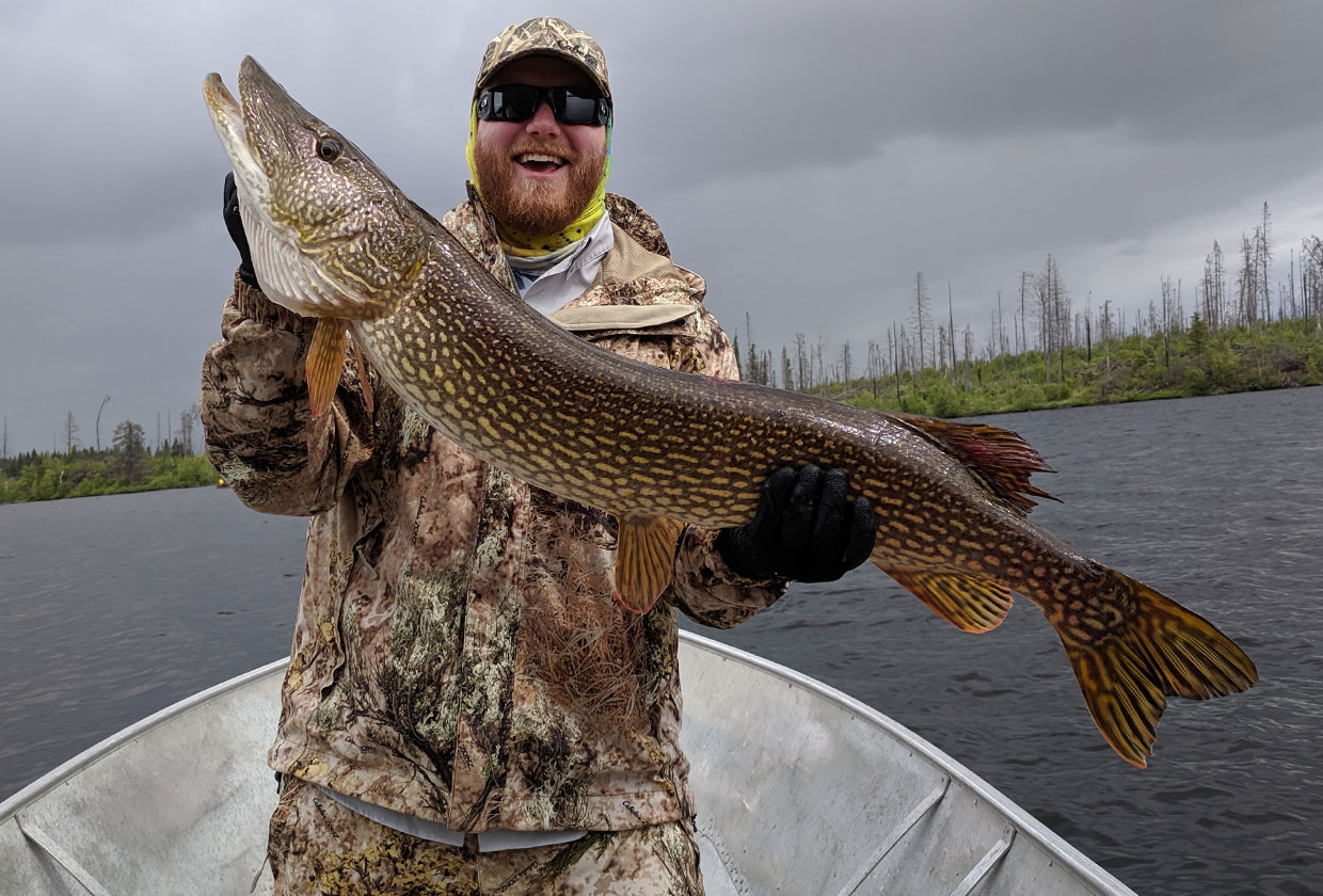 45 inch Pike