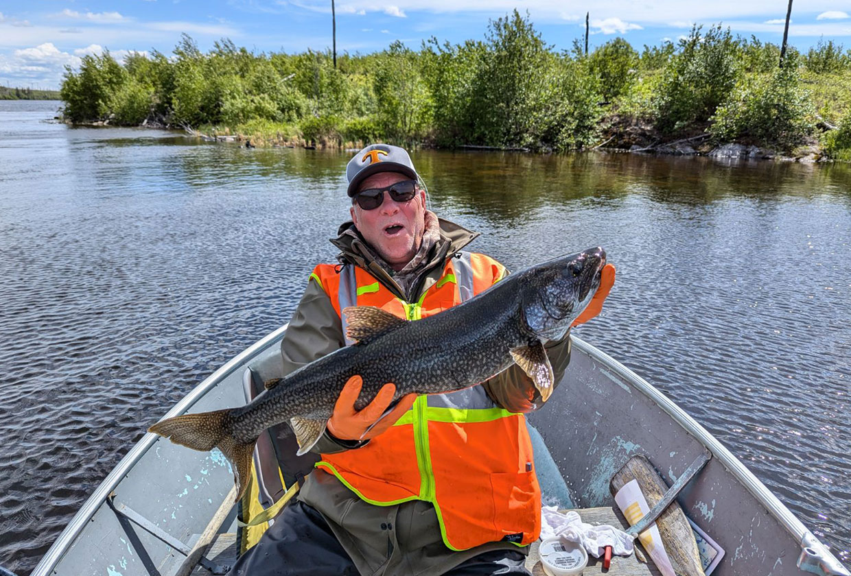 Lake Trout in the Shallows