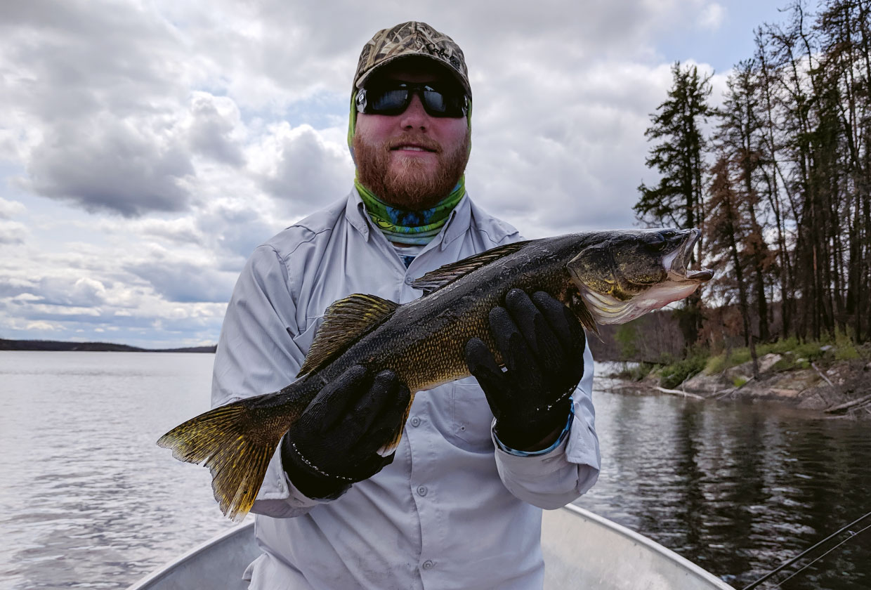 Walleye