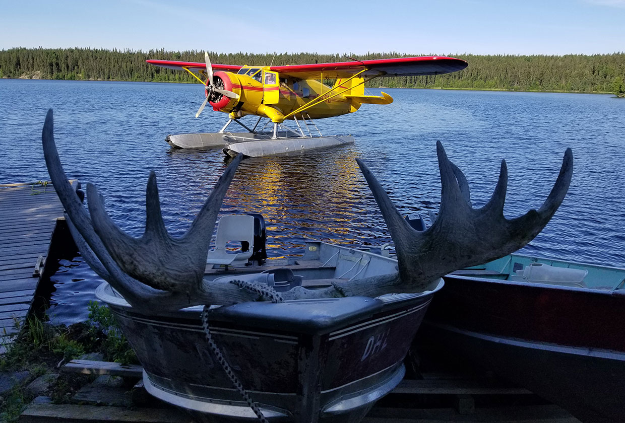 Moose Antler Shed used as a Lure hanger