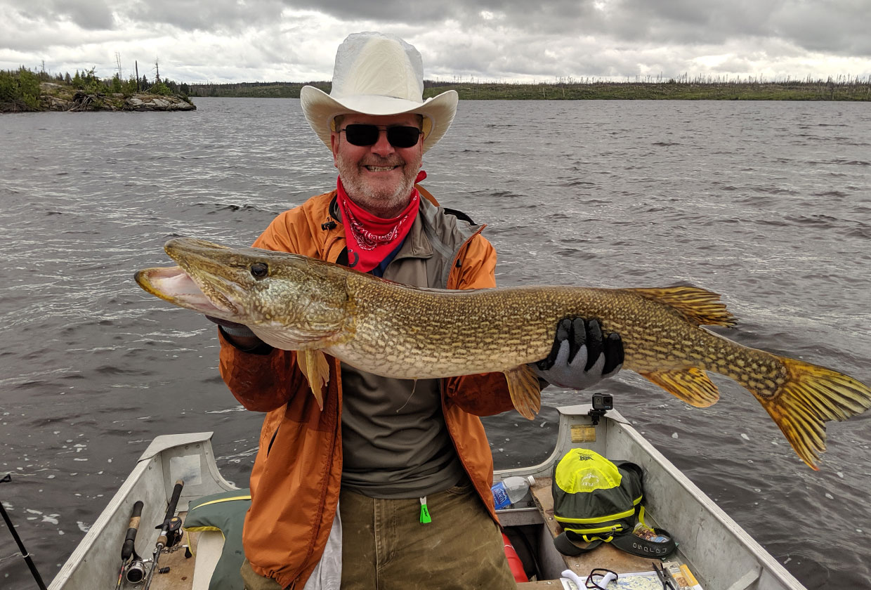 Yet Another Big Pike