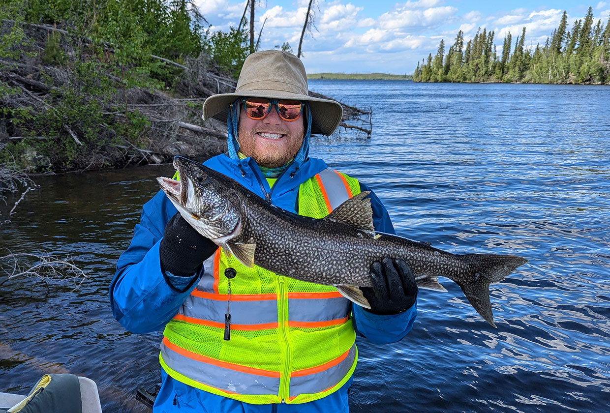 Lake Trout