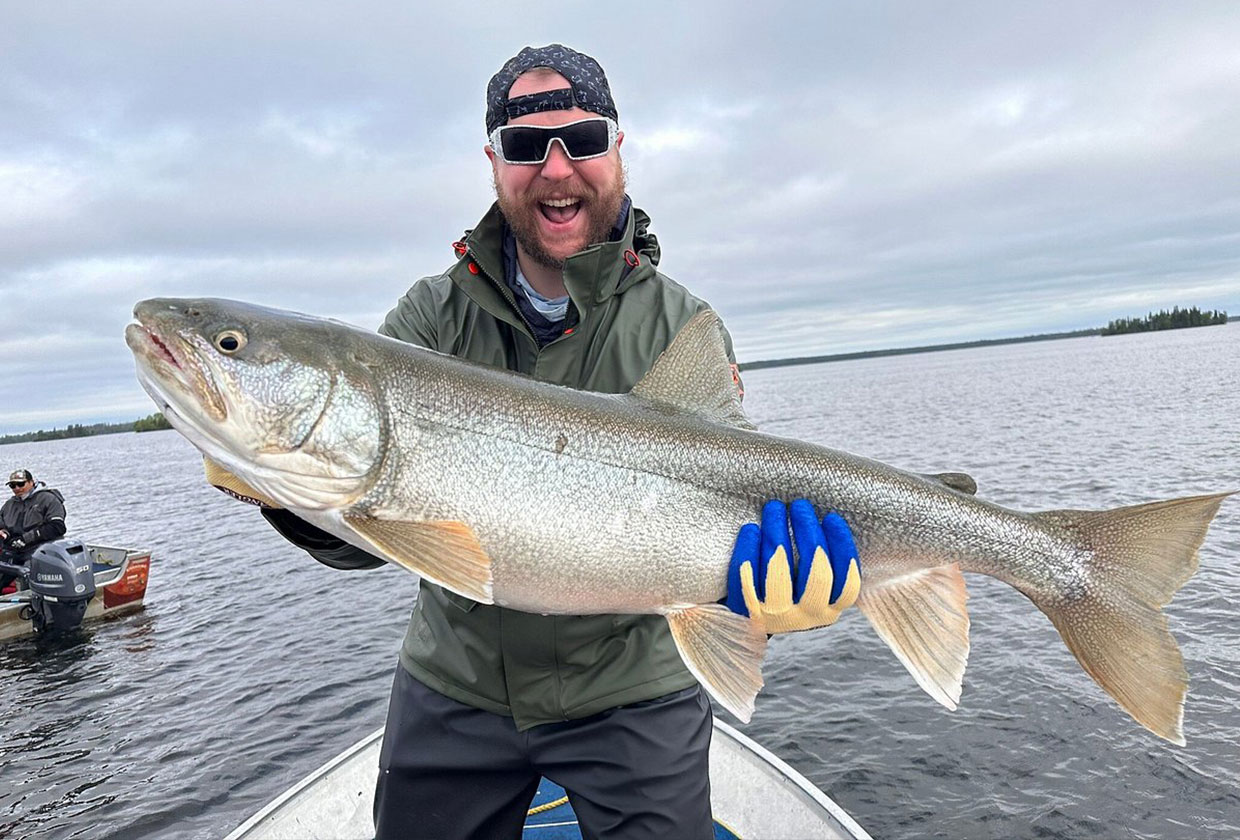 Another Massive Lake Trout