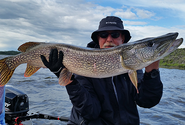 Bruce Sleboda with the Biggest Pike He's Ever Caught in Canada