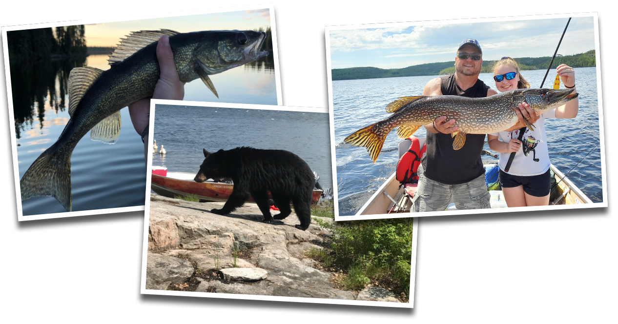 Photos from our guests at Kississing Lake Lodge!