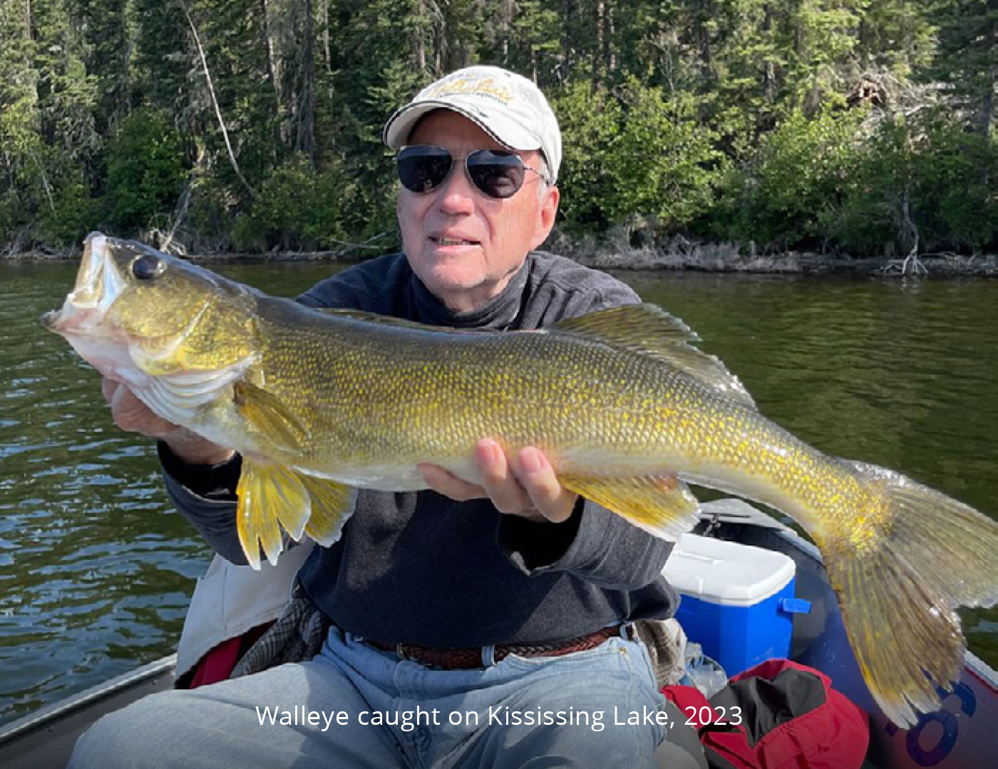 Walleye caught on Kississing Lake, 2023
