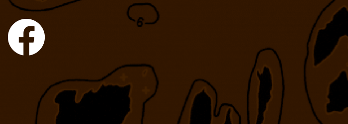 Follow Us on Facebook