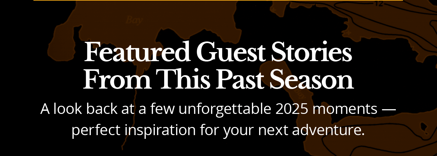 Featured Guest Stories