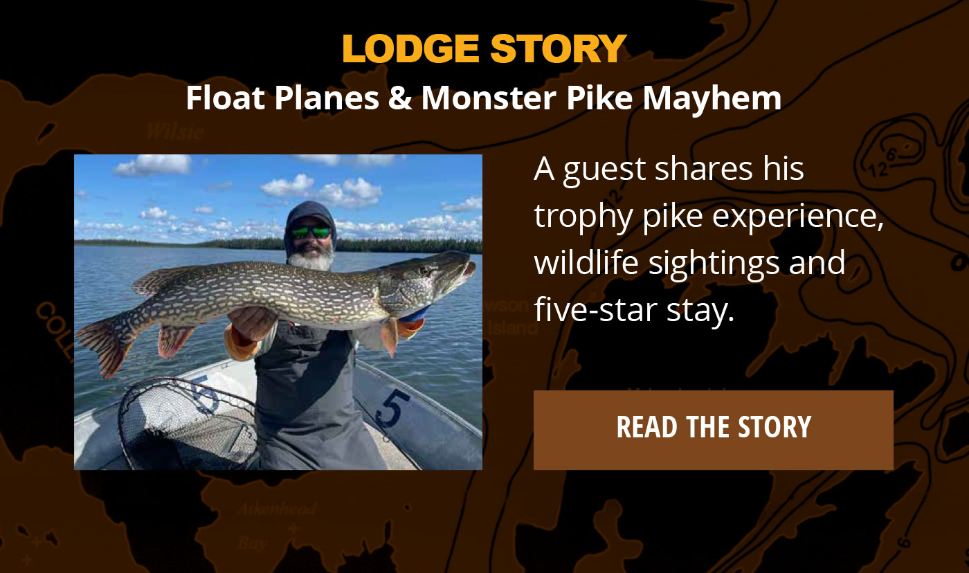 Read The Lodge Story