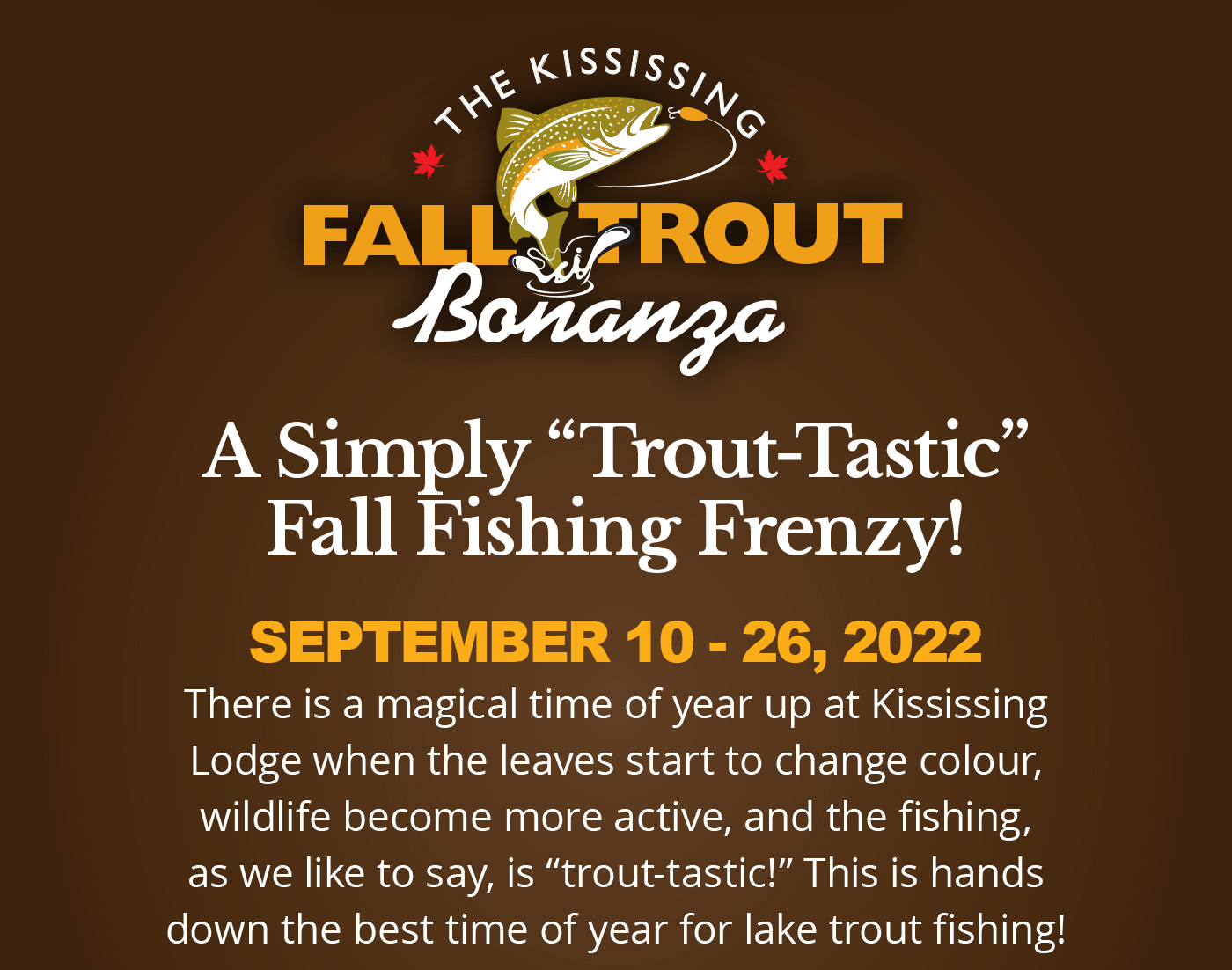 Fall Trout Bonanza! A Simply Trout-Tastic Fall Fishing Frenzy!