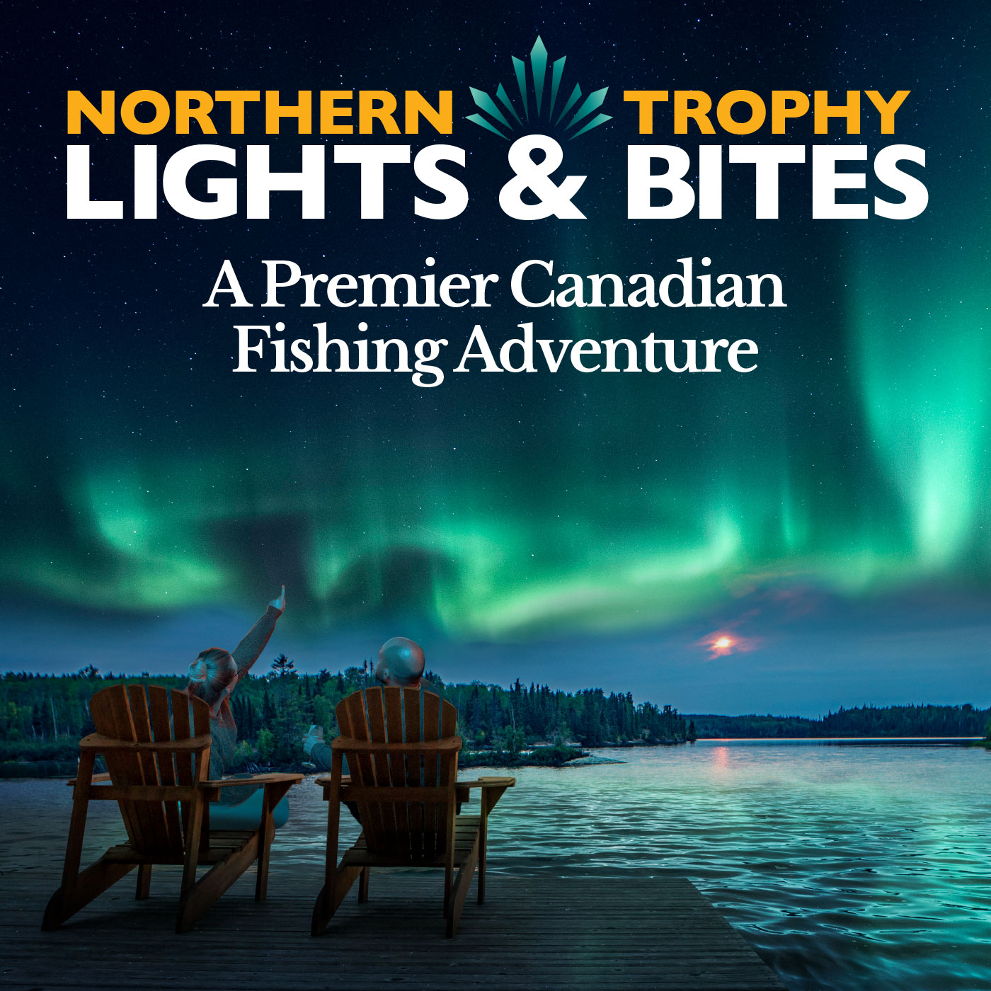 Northern Lights and Trophy Bites