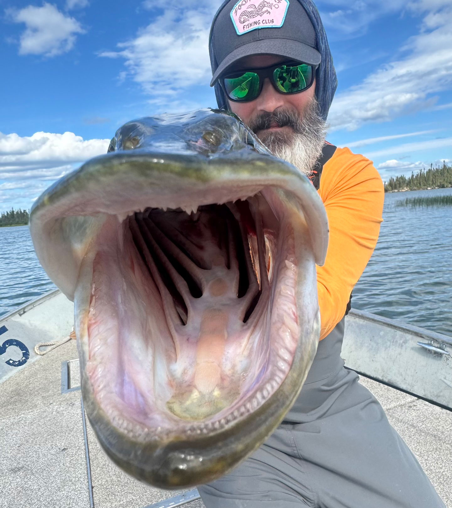 Neil Down the Barrel Pike
